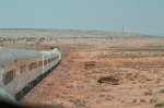 Grand Canyon Railway traveling to the Canyon